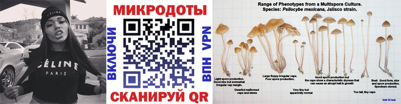 Галлюциногенные грибы GOLDEN TEACHER ссылка на мегу Лысьва