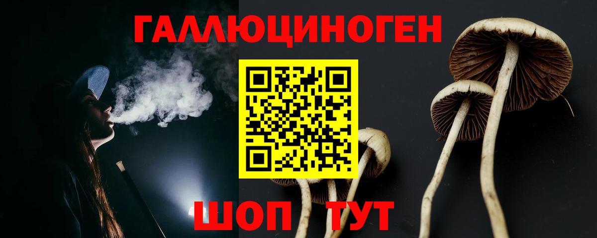 Лысьва  Галлюциногенные грибы прущие грибы  Вход с VPN 